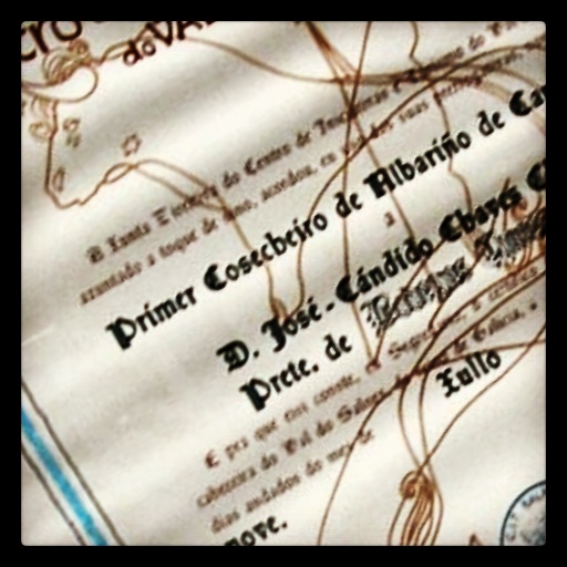 primer cosechero de albario.jpg